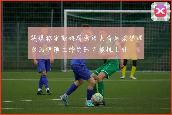 英媒称富勒姆有意请麦肯纳接替席尔瓦伊镇主帅离队可能性上升