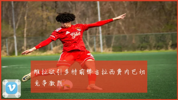 维拉欲引多特前锋吉拉西费内巴切竞争激烈